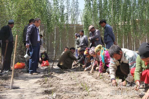 ½أũֲвҩ پ׼ƶ·