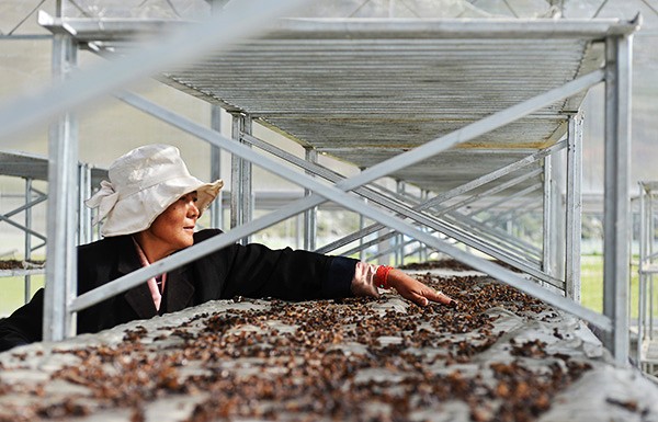 521գǶظԭɫʾأԱڷɹлľ