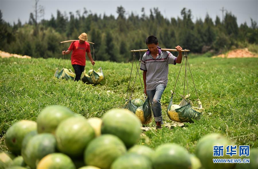 �����Ĳ�����������������