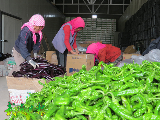 �������������Ѵ������չ��ʩũ��ҵ