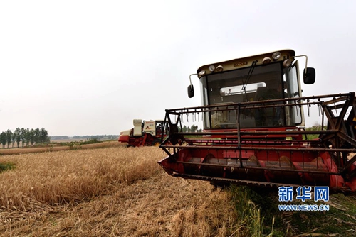 ���ϣ���ԭ���ֿ�ʼ����С��