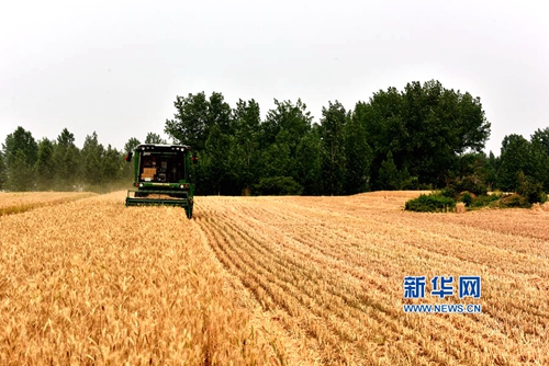 ���ϣ���ԭ���ֿ�ʼ����С��