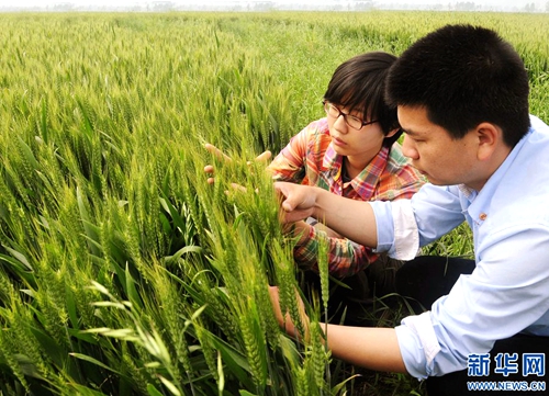 ũԱͷչָũѧܻСȷСա