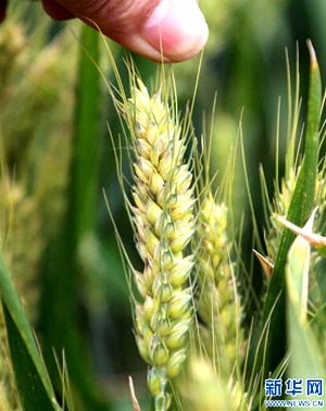 ʯ߻ʴũС߲ʾӣǿС󴿶ȵ