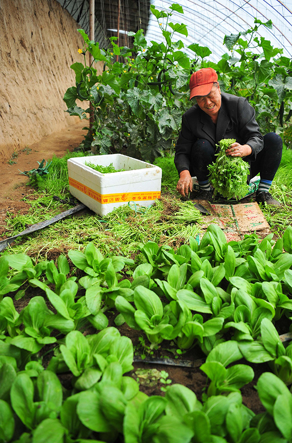 ɹźͺأչʩũҵ ḻСӡ