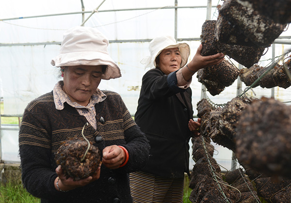 521գԱտǶظԭɫʾزժлľ