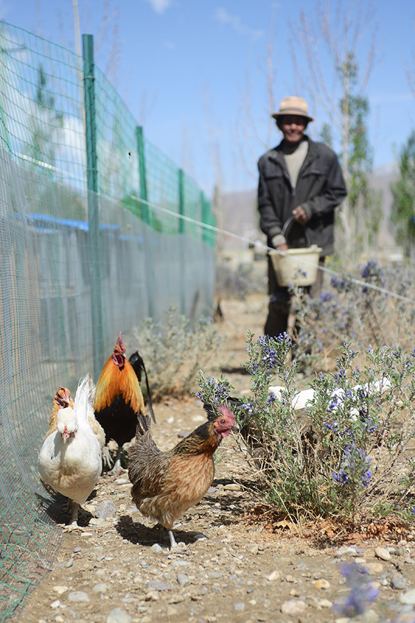 522գԱտľ²ؼֳظؼιʳ