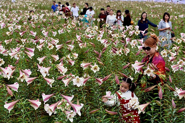 521գοظ߳Ȫֲũлٺ԰ͻ