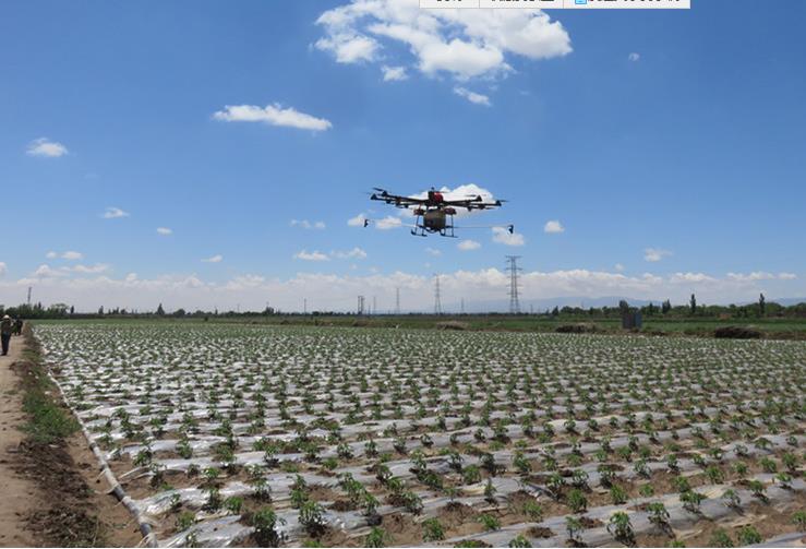 宁夏中宁县永久性蔬菜基地首次引进无人机防治病虫害