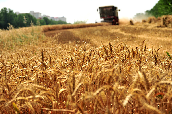 524գںʡפعֵ´ڴ壬һոҵ