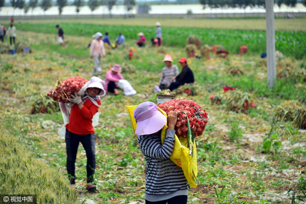 2016525գɽʡƽԬ壬ũڰ˲յĴ⡣