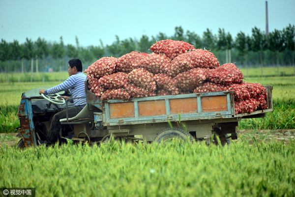 2016525գɽʡƽԬ壬̷⡣