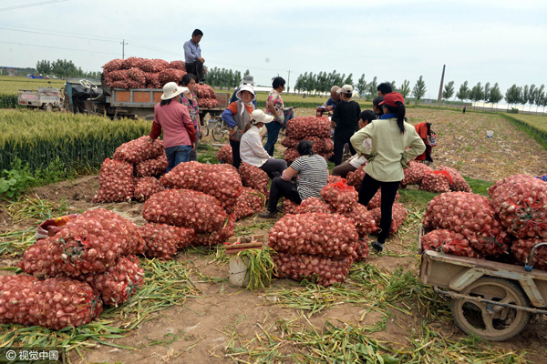 ʢʱɽʡƽֲ8ĶϲУصũæŲա䡢۴⣬ͷһɷæ