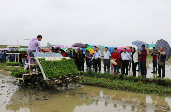 ϵٿ̵ũҵģʾʾѵֳ