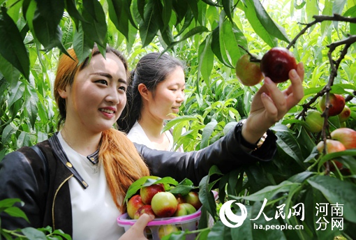 磺ڳ⡰ֳ ̾¡Ǯ;