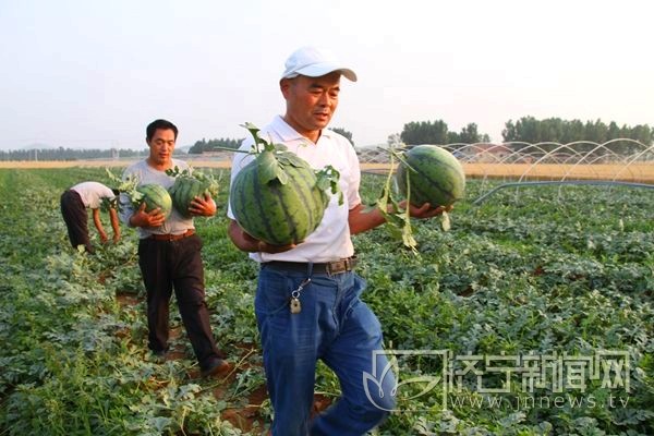 ɽ޳ʯǽϷ 괴1200Ԫ