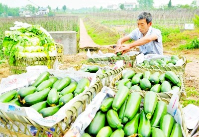 ׼ƷũҵĴ㰲ִũҵǿпԽ