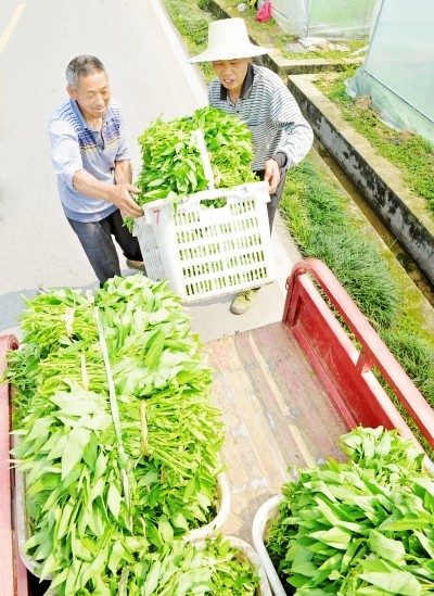 530գǰִũҵ԰ת˿Ĳˡ