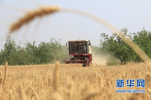 �����ڻ�С��ϲ����