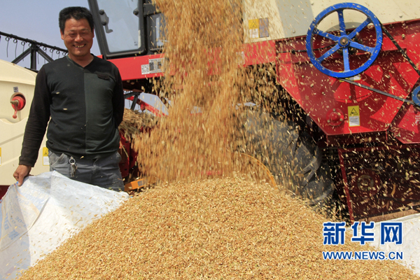 5��30�գ��ڻ��ز�ׯ��ũ�����ո�С��