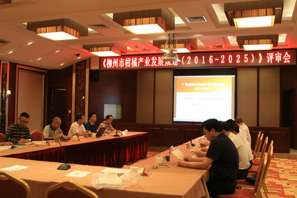 иٲҵչ滮2016-2025꣩ͨר