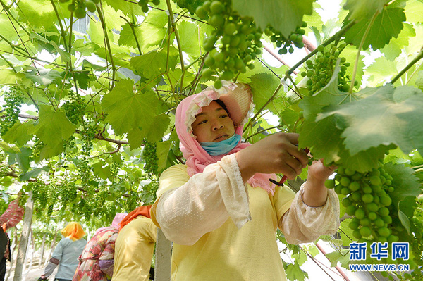 530գũѼŰ˺ũԱֵʳѽļ