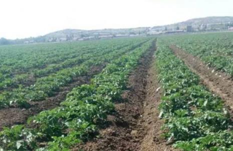 ɹŰֶ¡ش1800Ķ粥ϲ