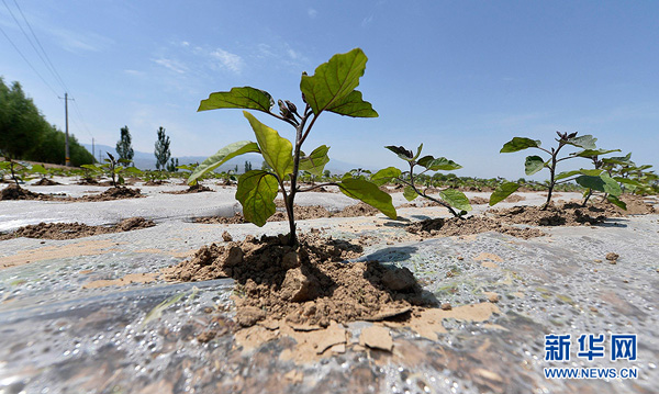 ũѼƽũĿǰˮһ廯ι༼530㣩