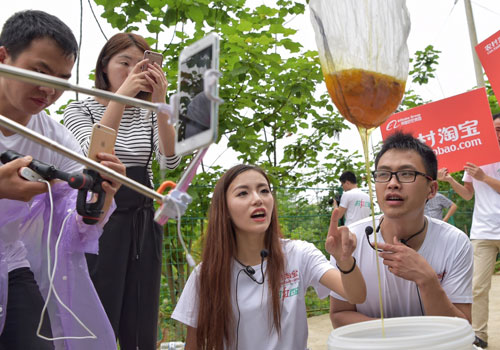 530գԱֱͨչʾ۵Ĳɼ