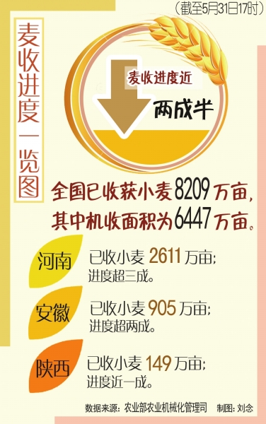 8100ĶС½ո ɲҪءһ