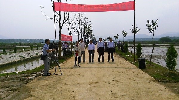 安徽怀宁县:示范园里”秀“种田