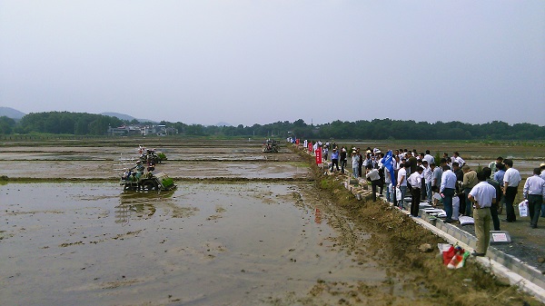 安徽怀宁县:示范园里”秀“种田