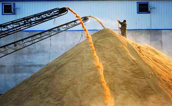 ںʡ̩⣬жµˮ2015112㣩