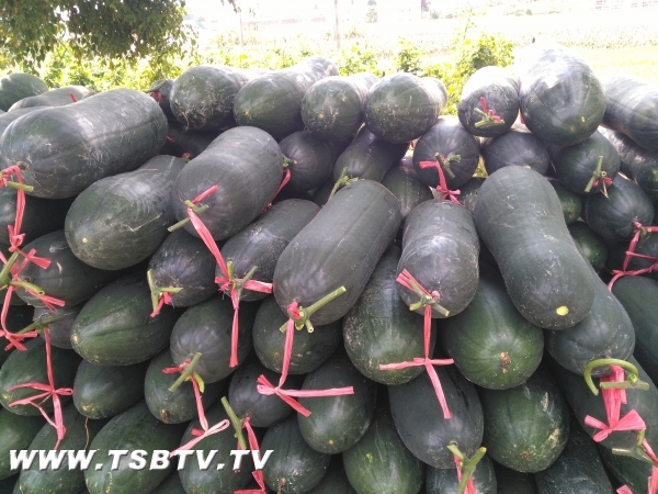 㶫̨ɽкƤż۵ ũѰ·