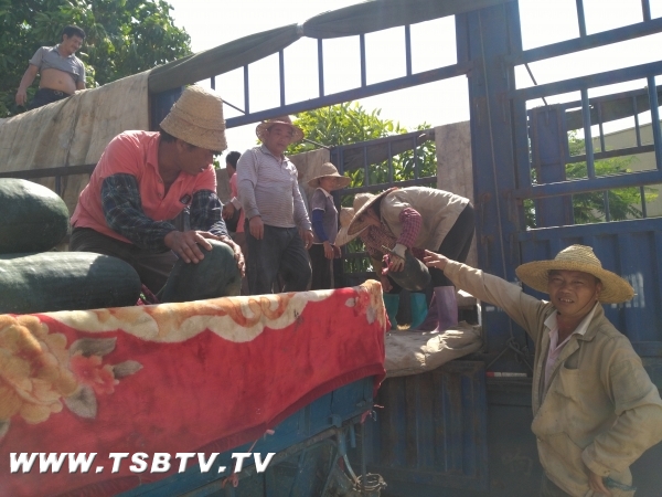 㶫̨ɽкƤż۵ ũѰ·