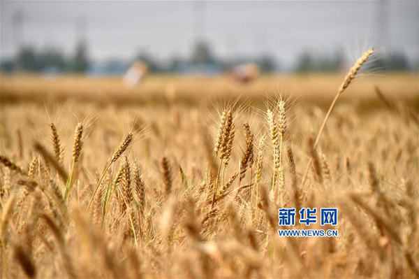 61գɽʡн򣬳Сȴջ