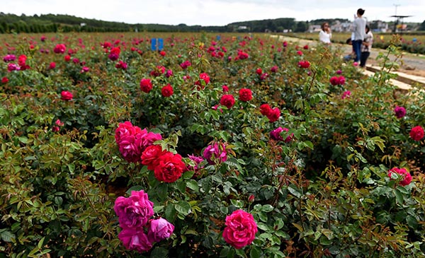 οʡؾؽֵļλǧĶʳõ61㣩ûͨתشũʽũա