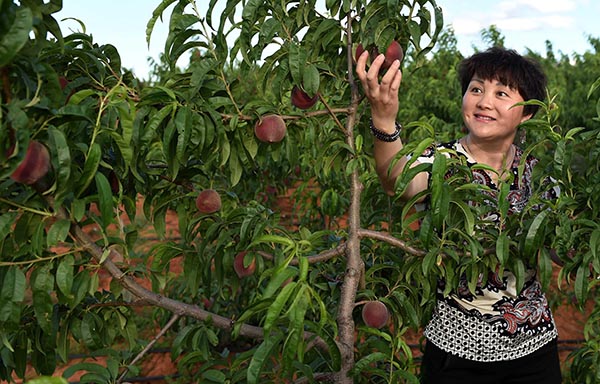 ʡڹ˾ĹԱڲժӣ61㣩Ϊũҵͷҵù˾ؽǧũա