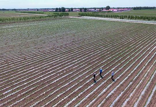 62գͨпƶ쳯װ²ũ硣