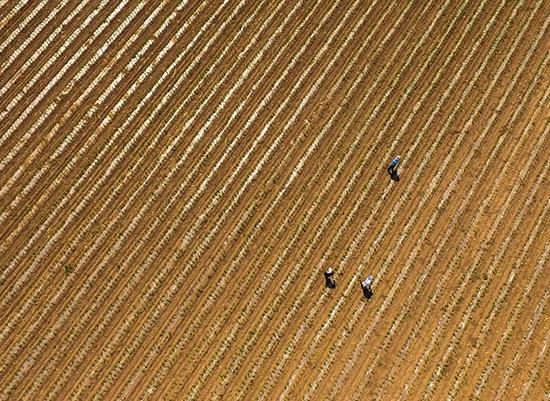 62գͨпƶ쳯װ²ũ硣