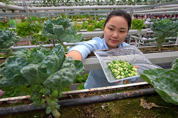 62գڽʡһִũҵ̬԰ԱܲӨڲժָϵġĲˡ