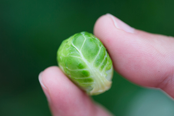 62ڽʡһִũҵ̬԰ָϵġĲˡ