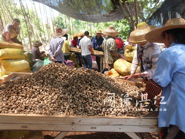 㶫ݱͻӭռ ߼ۺũϲü