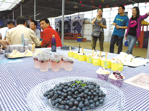 各色蓝莓甜点和饮品。