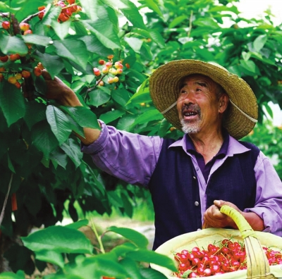 ������ˮ��ӣ�ҡ�ʢ�硱����