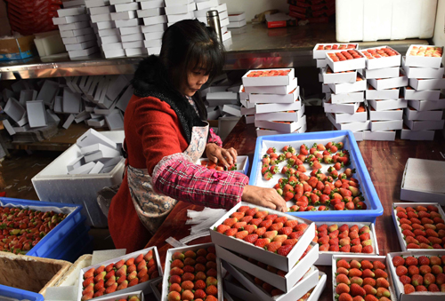 67գʡлشҰһũڰװݮ