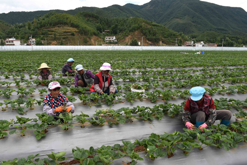 67գʡлشҴũڲݮֲسݡ