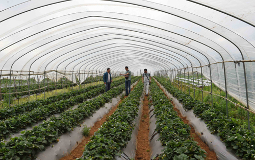 67գʡлؼԱڴҰݮֲز鿴