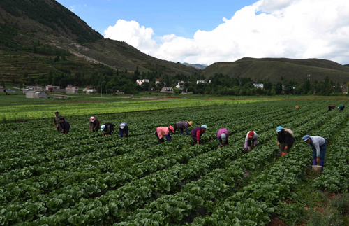 67գʡлشҴũ߲˵ʩʡ