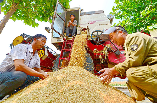 66գӱʡغׯũڼջС